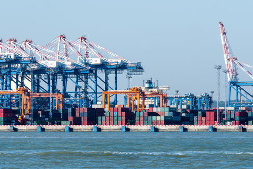 5g助推智慧港口 揚帆遠(yuǎn)航 中國 福建 自由貿(mào)易試驗區(qū)門戶網(wǎng)站